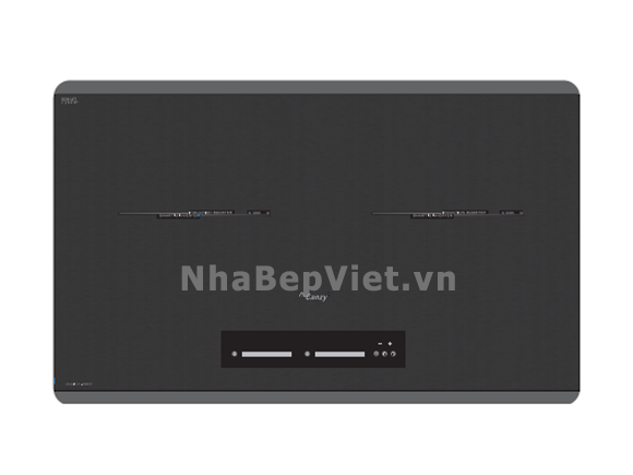 Bếp từ Canzy CZ 989DH