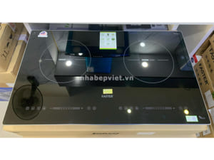 Bếp từ Faster FS 219MT