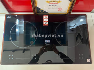 Bếp từ Canzy CZ S88Max